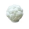 Foto de um(a) Luminária branca flores de opalina Art Deco, da categoria de Iluminação. Luminária branca flores de opalina art deco pendente repolho, globo de rosas.Dimensões: Altura 20cm x largura 20cm x... Vendido no marketplace Trésors.