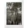 Foto de um(a) Amazônia P&B 50 x 70 cm - Elza Gragnano, da categoria de Serigrafia. Serigrafia original póstuma do artista Elza Gragnano. Dimensões: Altura: 50 cm Largura: 70 cm Breve biografia do artista:... Vendido no marketplace Trésors.