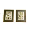Foto de um(a) Par de belas figuras botânicas, da categoria de Desenhos. Lindas ilustrações botânicas vintage em quadro com moldura e vidro. Medindo 33,5 x 27,5cm. Vendido no marketplace Trésors.