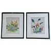 Foto de um(a) Belos quadros com gravuras botânicas antigas, da categoria de Serigrafia. Belíssimos quadros com gravuras em serigrafia, técnica que utiliza a seda como tela, os quadros apresentam ilustrações... Vendido no marketplace Trésors.