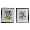 Foto de um(a) Par de quadros com gravuras de Orquídea, da categoria de Serigrafia. Belíssimos quadros decorativos em serigrafia, técnica que utiliza a seda como tela, com ilustrações botânicas clássicas de... Vendido no marketplace Trésors.