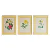 Foto de um(a) Trio de gravuras botânicas antigas, da categoria de Impressões. Este conjunto de três quadros apresenta gravuras botânicas clássicas do renomado pintor e botânico belga Pierre-Joseph... Vendido no marketplace Trésors.
