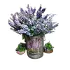 Foto de um(a) Balde em Folha de Flandres Decupage Lavanda, Década de 2000, da categoria de Cestos e Caixas. Balde em folha de flandres, duas alças e decupage de lavanda nos dois lados, década de 2000. Mede: A 26 cm Diametro: 23,5 cm... Vendido no marketplace Trésors.