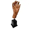 Foto de um(a) Escultura Hand, da categoria de Escultura. Escultura de mão em resina com pintura envelhecida e base em madeira. Peça única pelo designer marcelus ribas. A: 36... Vendido no marketplace Trésors.