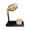 Foto de um(a) Porta Treco Crânio Tiranossauro Rex, da categoria de Outros objetos decorativos. Porta treco crânio tiranossauro rex da top cau em plástico envelhecido e envernizado. Com copo em resina e osso, base em... Vendido no marketplace Trésors.