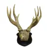 Foto de um(a) Imponente galhada de cervo, da categoria de Outros objetos decorativos. Imponente galhada de cervo em arranjo para parede com base em madeira nobre trabalhada. Medidas da base 25A X 20L e galhada... Vendido no marketplace Trésors.