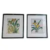 Foto de um(a) Belo Par de quadros com gravuras de Orquídea, da categoria de Gravuras. Belíssimos quadros decorativos em serigrafia, técnica que utiliza a seda como tela, com ilustrações botânicas clássicas de... Vendido no marketplace Trésors.
