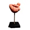 Foto de um(a) Escultura Terracota, da categoria de Escultura. Escultura corpo feminino em terracota com base em madeira e haste em ferro autor: marcelus ribas A: 26 cm L da escultura:... Vendido no marketplace Trésors.