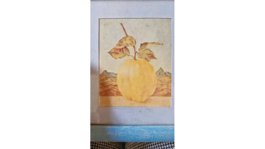 Foto de um(a) Encanto Vintage: Quadro Decorativo de Marmelo, da categoria de Gravuras. Este delicado quadro pequeno de 15x13cm traz uma charmosa ilustração clássica de um marmelo em tons suaves, emoldurada por... Mostrado de uma perspectiva diferente. Vendido no marketplace Trésors.