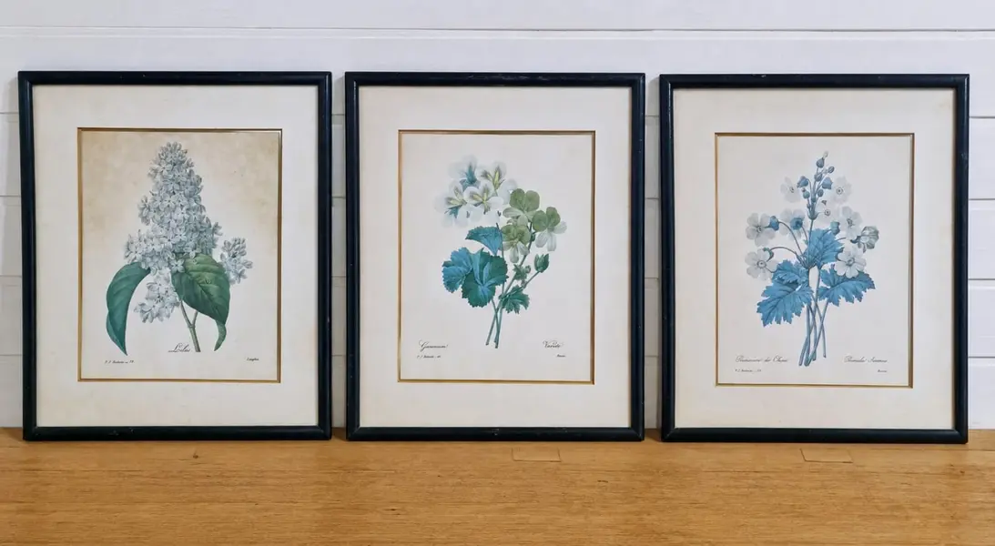Foto de um(a) Belíssimo conjunto antigo de gravuras botânicas Pierre-Joseph Redouté, da categoria de Impressões. Conjunto composto de três belos quadros de gravuras botânicas antigas estilo vintage, do renomado pintor e botânico belga... Mostrado de uma perspectiva diferente. Vendido no marketplace Trésors.