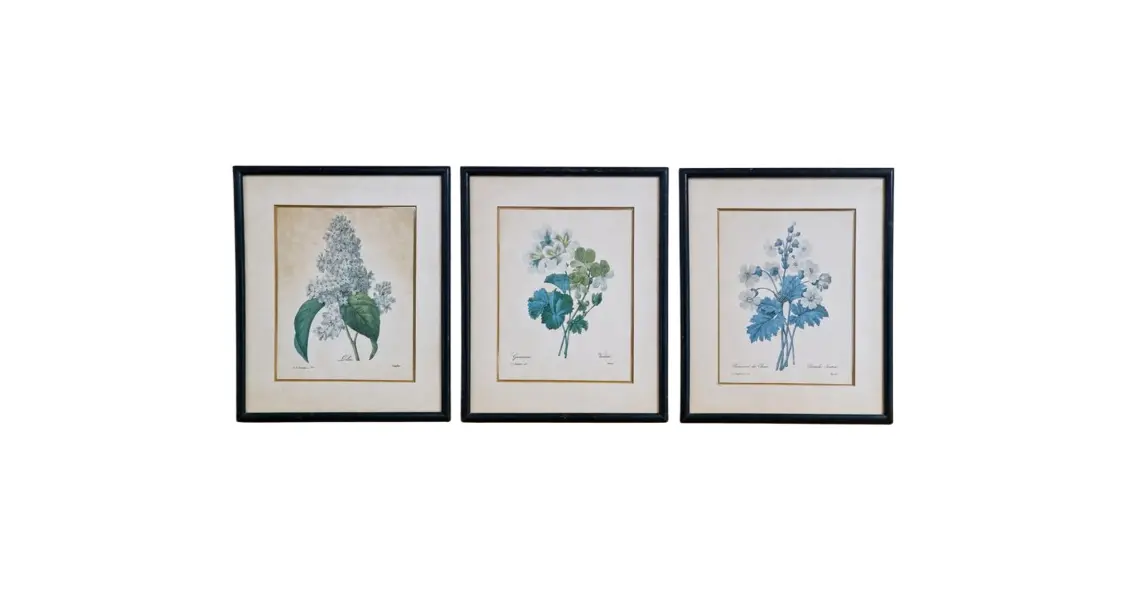 Foto de um(a) Belíssimo conjunto antigo de gravuras botânicas Pierre-Joseph Redouté, da categoria de Impressões. Conjunto composto de três belos quadros de gravuras botânicas antigas estilo vintage, do renomado pintor e botânico belga... Vendido no marketplace Trésors.