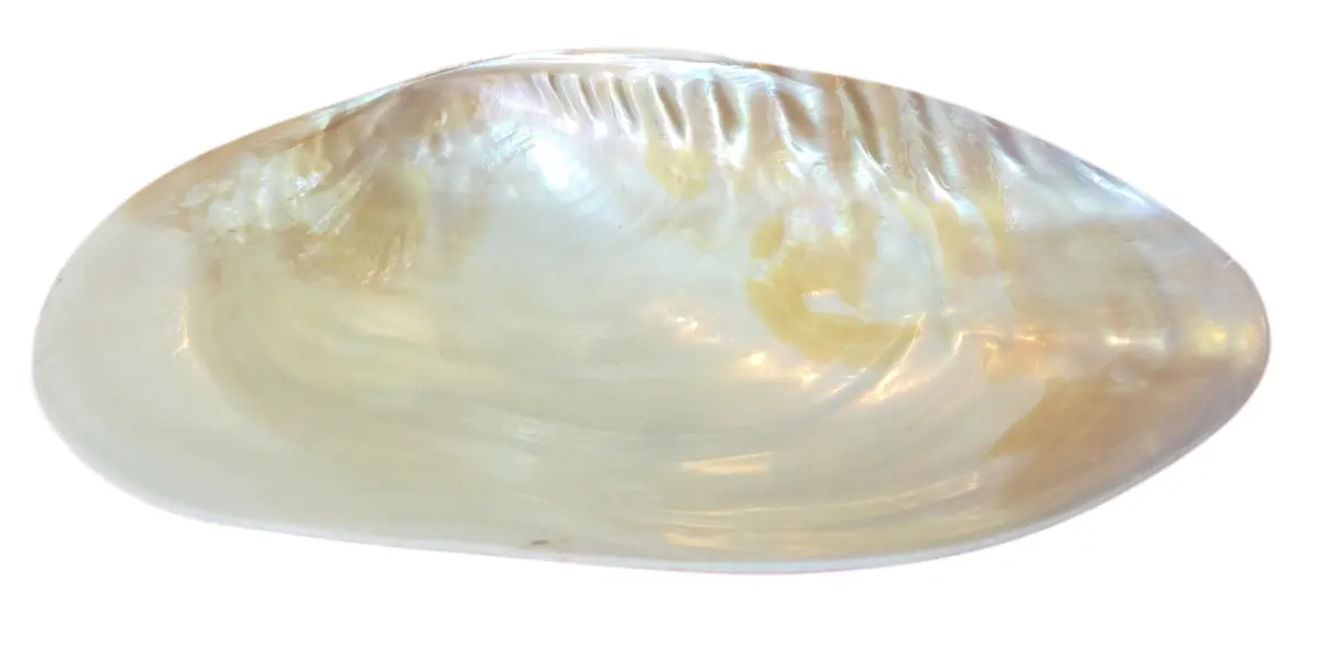 Foto de um(a) Pinga Joias em Madrepérola, da categoria de Porta-Jóias. Ilumine o seu visual com o brilho iridescente da nossa Pingajoia em Madrepérola. Cada peça é única, refletindo nuances... Mostrado de uma perspectiva diferente. Vendido no marketplace Trésors.