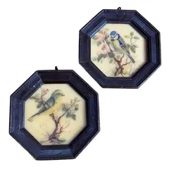 Foto de um(a) Par de mini quadros pássaros em cera, da categoria de Molduras para quadros. par de quadrinhos VINTAGE todo em cera, técnica surpreendente e curiosa de época, contém decalques de passarinhos com camada... Vendido no marketplace Trésors.