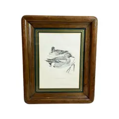 Foto de um(a) ​Impressão emoldurada em madeira e vidro - Patos na lagoa, da categoria de Impressões. Impressão emoldurada em madeira e vidro. Marcas do tempo e uso na moldura, mas nada que um leve restauro não resolva. ... Vendido no marketplace Trésors.