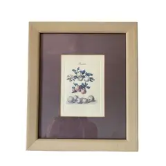 Foto de um(a) Gravura sobre papel, da categoria de Impressões. Gravura sobre papel (30x35cm). Vendido no marketplace Trésors.