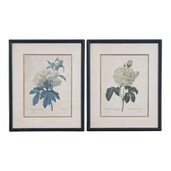 Foto de um(a) Lindo par de quadros com gravuras botânicas Séc. XIX Pierre-Joseph Redouté, da categoria de Impressões. Esses dois lindos quadros apresentam ilustrações botânicas clássicas do renomado pintor e botânico Pierre-Joseph Redouté. A... Vendido no marketplace Trésors.