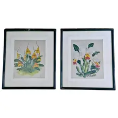 Foto de um(a) Belos quadros com gravuras botânicas antigas, da categoria de Serigrafia. Belíssimos quadros com gravuras em serigrafia, técnica que utiliza a seda como tela, os quadros apresentam ilustrações... Vendido no marketplace Trésors.