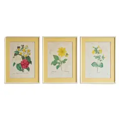 Foto de um(a) Trio de gravuras botânicas antigas, da categoria de Impressões. Este conjunto de três quadros apresenta gravuras botânicas clássicas do renomado pintor e botânico belga Pierre-Joseph... Vendido no marketplace Trésors.