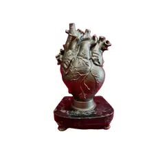Foto de um(a) Escultura Heart, Peça Única, Década de 2000, da categoria de Escultura. Escultura heart: escultura coração anatômico em resina com pátina bronze, base em granito preto e pés de latão, década de... Vendido no marketplace Trésors.