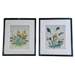 Foto de um(a) Belos quadros com gravuras botânicas antigas de orquídea, da categoria de Gravuras. Belíssimos quadros com gravuras em serigrafia, técnica que utiliza a seda como tela, os quadros apresentam ilustrações... Vendido no marketplace Trésors.