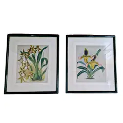 Foto de um(a) Belo Par de quadros com gravuras de Orquídea, da categoria de Gravuras. Belíssimos quadros decorativos em serigrafia, técnica que utiliza a seda como tela, com ilustrações botânicas clássicas de... Vendido no marketplace Trésors.