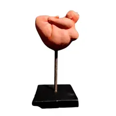 Foto de um(a) Escultura Terracota, da categoria de Escultura. Escultura corpo feminino em terracota com base em madeira e haste em ferro autor: marcelus ribas A: 26 cm L da escultura:... Vendido no marketplace Trésors.