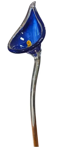 Foto de um(a) Flor Copo-de-Leite em Cristal Murano – Azul Cobalto e Dourado, da categoria de Outros colecionáveis. Exclusiva escultura artística em cristal tipo Murano, modelada à mão representando uma delicada flor (estilo Copo-de-Leite).... Mostrado de uma perspectiva diferente. Vendido no marketplace Trésors.
