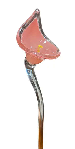 Foto de um(a) Flor Copo-de-Leite em Cristal Murano – Rosa e Dourado, da categoria de Outros colecionáveis. Exclusiva escultura artística em cristal tipo Murano, modelada à mão representando uma delicada flor (estilo Copo-de-Leite).... Mostrado de uma perspectiva diferente. Vendido no marketplace Trésors.