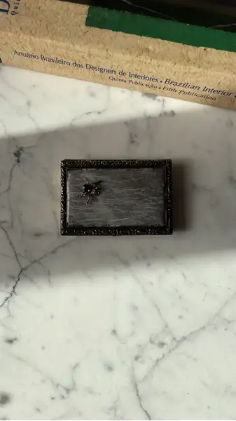 Foto de um(a) Antiga Caixinha Porta Cartões Cigarreira Em Bronze Francês, da categoria de Cigarreiras e piteiras. Antiga e rara caixinha porta cartões ou cigarreira em metal e bronze francês com curiosa decoração de aranha com pedras.... Mostrado de uma perspectiva diferente. Vendido no marketplace Trésors.