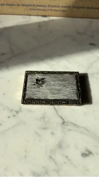Foto de um(a) Antiga Caixinha Porta Cartões Cigarreira Em Bronze Francês, da categoria de Cigarreiras e piteiras. Antiga e rara caixinha porta cartões ou cigarreira em metal e bronze francês com curiosa decoração de aranha com pedras.... Mostrado de uma perspectiva diferente. Vendido no marketplace Trésors.