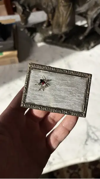 Foto de um(a) Antiga Caixinha Porta Cartões Cigarreira Em Bronze Francês, da categoria de Cigarreiras e piteiras. Antiga e rara caixinha porta cartões ou cigarreira em metal e bronze francês com curiosa decoração de aranha com pedras.... Mostrado de uma perspectiva diferente. Vendido no marketplace Trésors.