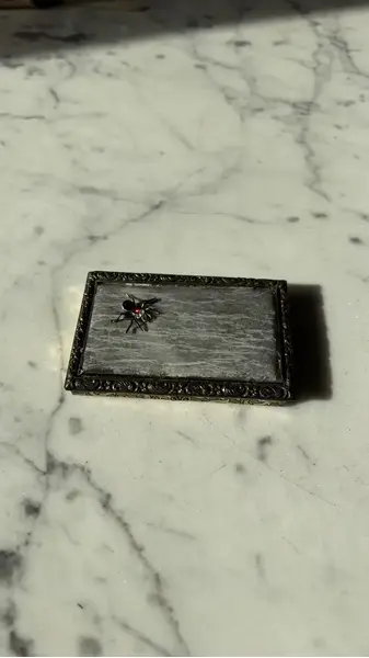 Foto de um(a) Antiga Caixinha Porta Cartões Cigarreira Em Bronze Francês, da categoria de Cigarreiras e piteiras. Antiga e rara caixinha porta cartões ou cigarreira em metal e bronze francês com curiosa decoração de aranha com pedras.... Mostrado de uma perspectiva diferente. Vendido no marketplace Trésors.