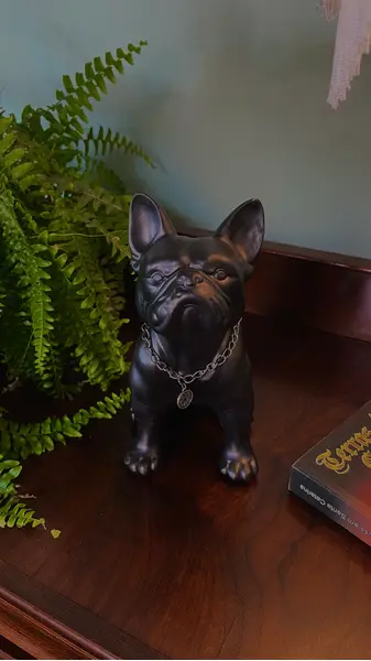 Foto de um(a) Escultura Bulldog Francês em Estuque Resinado, da categoria de Modelos e estatuetas. Escultura decorativa de design contemporâneo representando um bulldog francês. Confeccionada com estrutura interna de ferro... Mostrado de uma perspectiva diferente. Vendido no marketplace Trésors.