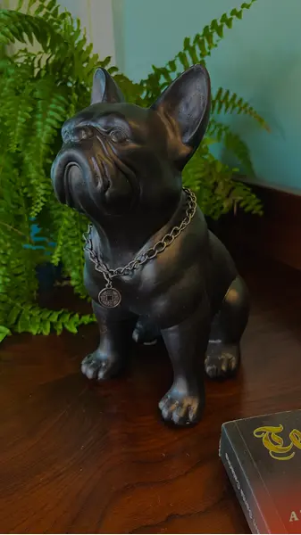 Foto de um(a) Escultura Bulldog Francês em Estuque Resinado, da categoria de Modelos e estatuetas. Escultura decorativa de design contemporâneo representando um bulldog francês. Confeccionada com estrutura interna de ferro... Mostrado de uma perspectiva diferente. Vendido no marketplace Trésors.