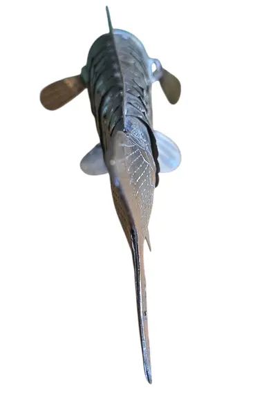 Foto de um(a) Peixe Escultural em Latão Dourado, da categoria de Escultura. A pátina natural do latão confere um charme vintage autêntico, tornando-o o acessório perfeito para mesas de centro,... Mostrado de uma perspectiva diferente. Vendido no marketplace Trésors.