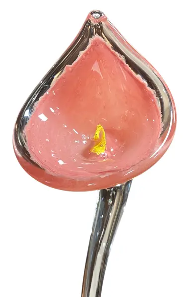 Foto de um(a) Flor Copo-de-Leite em Cristal Murano – Rosa e Dourado, da categoria de Outros colecionáveis. Exclusiva escultura artística em cristal tipo Murano, modelada à mão representando uma delicada flor (estilo Copo-de-Leite).... Mostrado de uma perspectiva diferente. Vendido no marketplace Trésors.