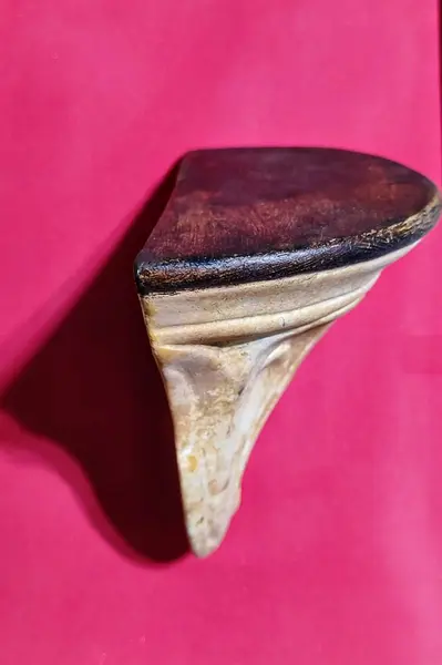 Foto de um(a) Peanha em Cerâmica, Década de 1970, da categoria de Suportes decorativos. Peanha em cerâmica com folhas de acanto na base e na parte superior pintura marrom, década de 1970. A: 13 cm L: 17 cm P: 8... Mostrado de uma perspectiva diferente. Vendido no marketplace Trésors.