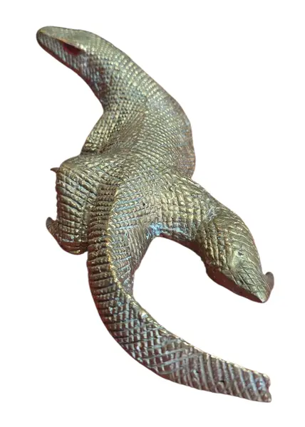Foto de um(a) Escultura Decorativa de Dragão de Komodo em Bronze, da categoria de Outros colecionáveis. Peça exótica e rica em detalhes, ideal para colecionadores de figuras de animais ou para compor uma decoração de estilo... Mostrado de uma perspectiva diferente. Vendido no marketplace Trésors.