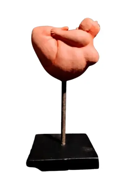 Foto de um(a) Escultura Terracota, da categoria de Escultura. Escultura corpo feminino em terracota com base em madeira e haste em ferro autor: marcelus ribas A: 26 cm L da escultura:... Vendido no marketplace Trésors.