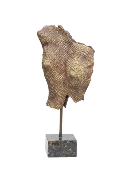 Foto de um(a) Torso Feminino Bronze - Lirdi M. Jorge, da categoria de Escultura. Torso feminino confeccionado em bronze. Obra assinada por Lirdi M. Jorge. Peça de caráter artístico e decorativo. Mostrado de uma perspectiva diferente. Vendido no marketplace Trésors.