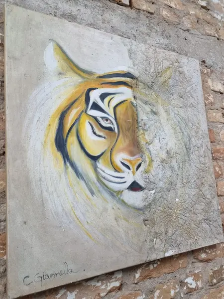 Foto de um(a) Quadro leão - 80 x 80 cm, da categoria de Pinturas. Tecnica mista de pintura, marcas do tempo dimensões: 80cm L x 80cm A. Mostrado de uma perspectiva diferente. Vendido no marketplace Trésors.