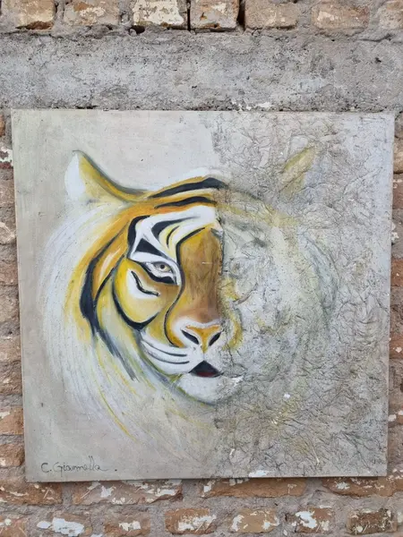 Foto de um(a) Quadro leão - 80 x 80 cm, da categoria de Pinturas. Tecnica mista de pintura, marcas do tempo dimensões: 80cm L x 80cm A. Mostrado de uma perspectiva diferente. Vendido no marketplace Trésors.