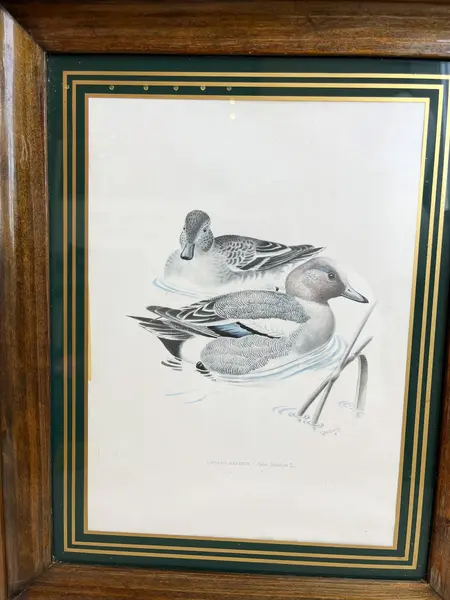 Foto de um(a) ​Impressão emoldurada em madeira e vidro - Patos na lagoa, da categoria de Impressões. Impressão emoldurada em madeira e vidro. Marcas do tempo e uso na moldura, mas nada que um leve restauro não resolva. ... Mostrado de uma perspectiva diferente. Vendido no marketplace Trésors.