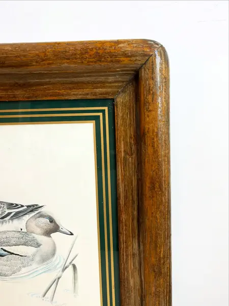 Foto de um(a) ​Impressão emoldurada em madeira e vidro - Patos na lagoa, da categoria de Impressões. Impressão emoldurada em madeira e vidro. Marcas do tempo e uso na moldura, mas nada que um leve restauro não resolva. ... Mostrado de uma perspectiva diferente. Vendido no marketplace Trésors.