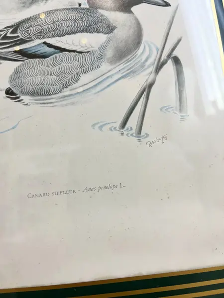 Foto de um(a) ​Impressão emoldurada em madeira e vidro - Patos na lagoa, da categoria de Impressões. Impressão emoldurada em madeira e vidro. Marcas do tempo e uso na moldura, mas nada que um leve restauro não resolva. ... Mostrado de uma perspectiva diferente. Vendido no marketplace Trésors.