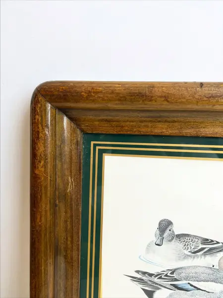 Foto de um(a) ​Impressão emoldurada em madeira e vidro - Patos na lagoa, da categoria de Impressões. Impressão emoldurada em madeira e vidro. Marcas do tempo e uso na moldura, mas nada que um leve restauro não resolva. ... Mostrado de uma perspectiva diferente. Vendido no marketplace Trésors.