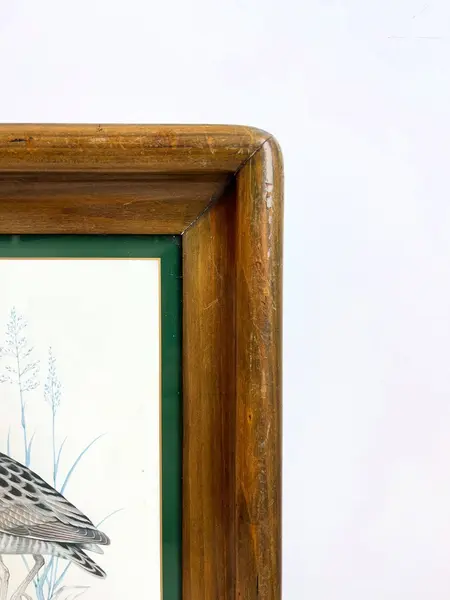 Foto de um(a) ​Impressão emoldurada em madeira e vidro - Râle des genêts (Crex crex), da categoria de Impressões. Impressão emoldurada em madeira e vidro. Marcas do tempo e uso na moldura, mas nada que um leve restauro não resolva. ... Mostrado de uma perspectiva diferente. Vendido no marketplace Trésors.