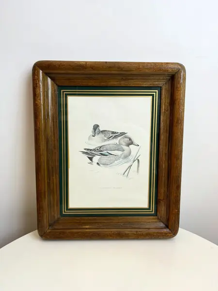 Foto de um(a) ​Impressão emoldurada em madeira e vidro - Patos na lagoa, da categoria de Impressões. Impressão emoldurada em madeira e vidro. Marcas do tempo e uso na moldura, mas nada que um leve restauro não resolva. ... Mostrado de uma perspectiva diferente. Vendido no marketplace Trésors.