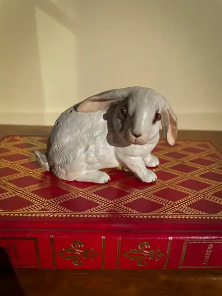 Foto de um(a) Antigo Raro Paliteiro De Coleção Coelho Em Biscuit Alemão, da categoria de Paliteiros. Antigo paliteiro de coleção no formato de coelho. Peça totalmente artística, moldado à mão em biscuit alemão com os olhos de... Mostrado de uma perspectiva diferente. Vendido no marketplace Trésors.