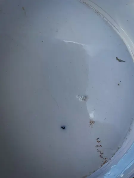 Foto de um(a) Antigo Prato Travessa Porcelana Oriental Imari Red Flow Blue, da categoria de Travessas e tigelas. Antigo e grande prato/travessa em porcelana artística inglesa Imari Red Flow Blue. Período Vitoriano. Pintado à mão.... Mostrado de uma perspectiva diferente. Vendido no marketplace Trésors.